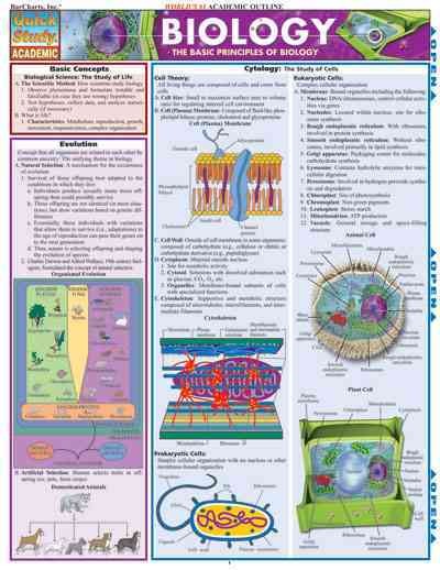 Biology [electronic resource] : the basic principles of biology / [Randy Brooks].