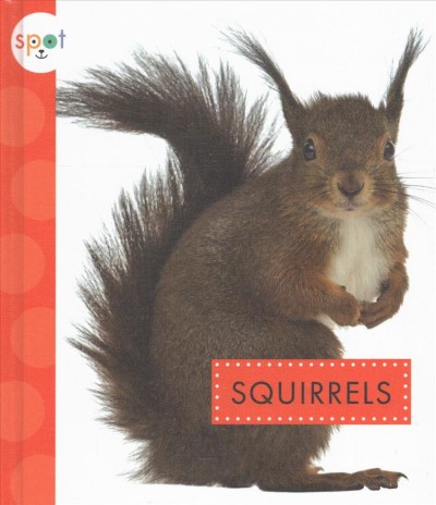 Squirrels / by Wendy Strobel Dieker.