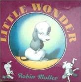 Little Wonder / [text and illustrations by] Robin Muller.