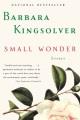 Go to record Small wonder : essays