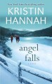 Angel Falls  Cover Image